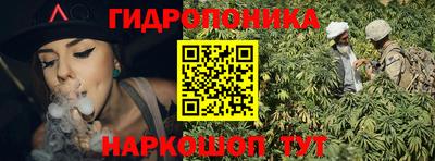 стафф Моздок