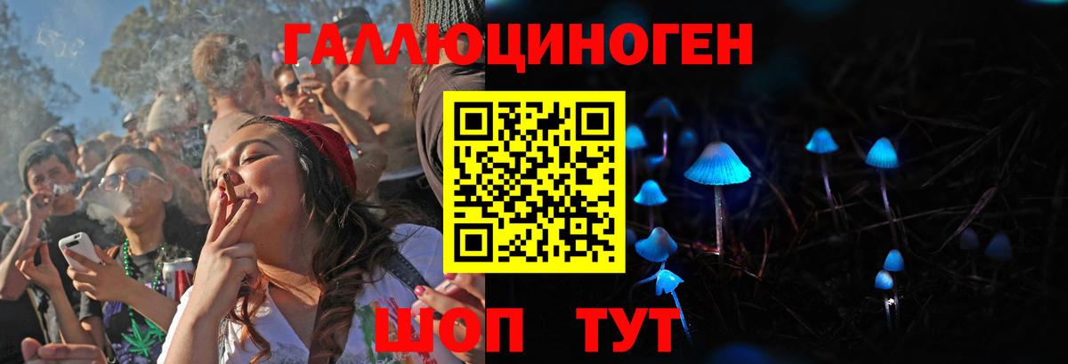Псилоцибиновые грибы прущие грибы  Вход с VPN  Алейск  Галлюциногенные грибы Magic Shrooms 